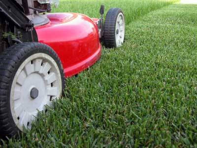Mowing your lawn - healthy lawn - quinju.com