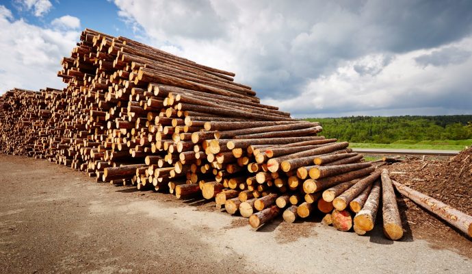lumber_04